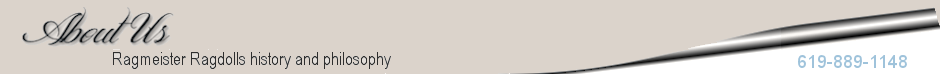 headerabouut.png