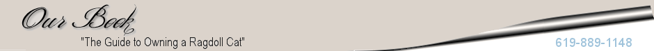 headerbook.png
