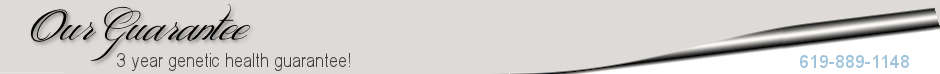 headerguarantee.png