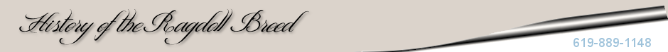 headerhist.png