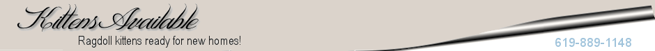 headerkittenst.png